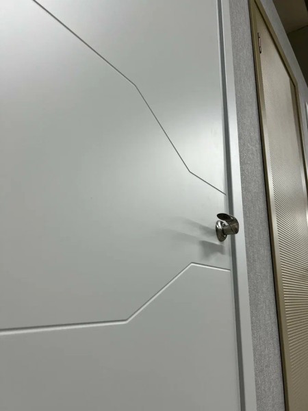 +Межкомнатная дверь "Вектор"