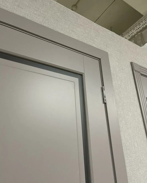 +Межкомнатная дверь "Токио"