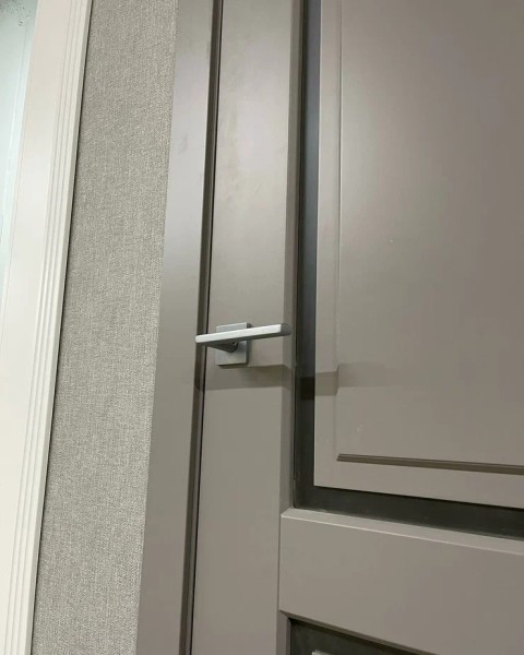 +Межкомнатная дверь "Токио"