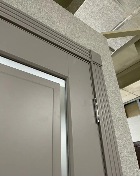 +Межкомнатная дверь "Токио"