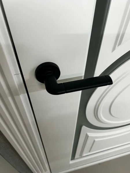 +Межкомнатная дверь "Токио"