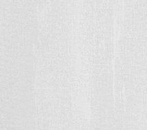 TX 411-2 — Холст белый