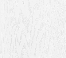 ZB 860-2 — Белый снег