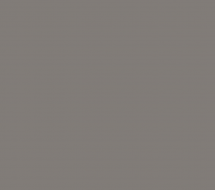 ZB 855-2 — Грей