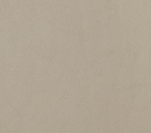 LS 923-2 — Лофт капучино